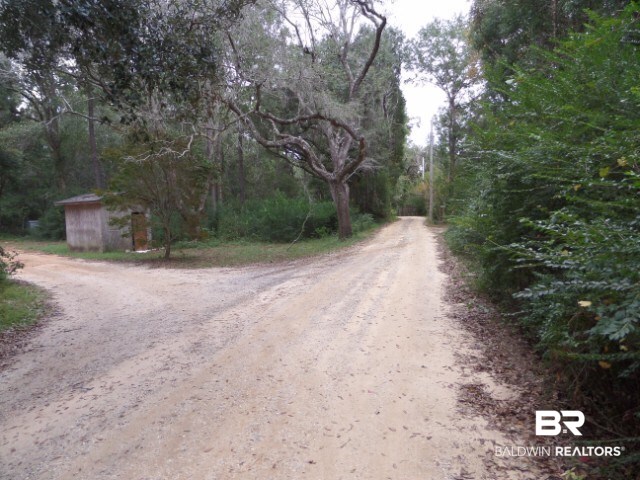 21315 East Lay Lane Foley, AL 36535 - Photo 3 of 10 Street View in front of subject