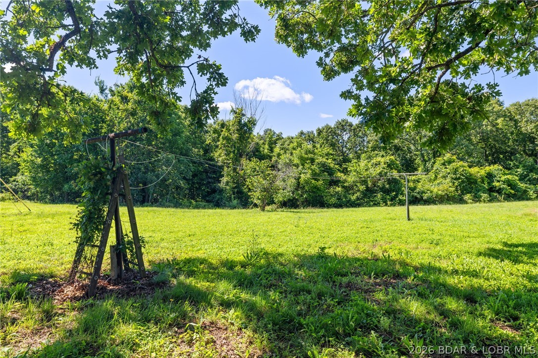 702 Doc Ridgeway Road Macks Creek, MO 65786 - Photo 39 of 56