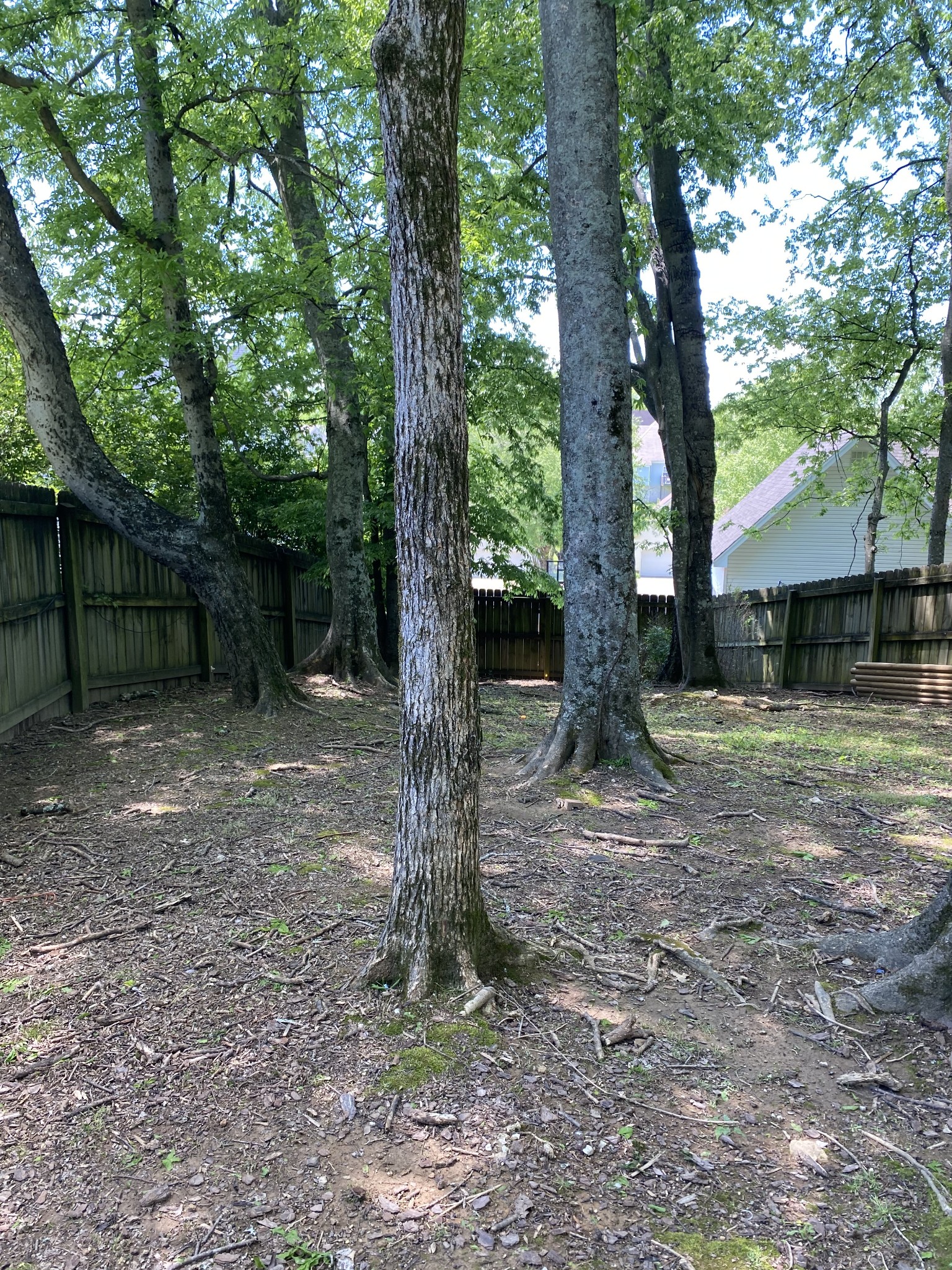 1615 Pacer Court Spring Hill, TN 37174 - Photo 29 of 30 a backyard of a house with lots of green space