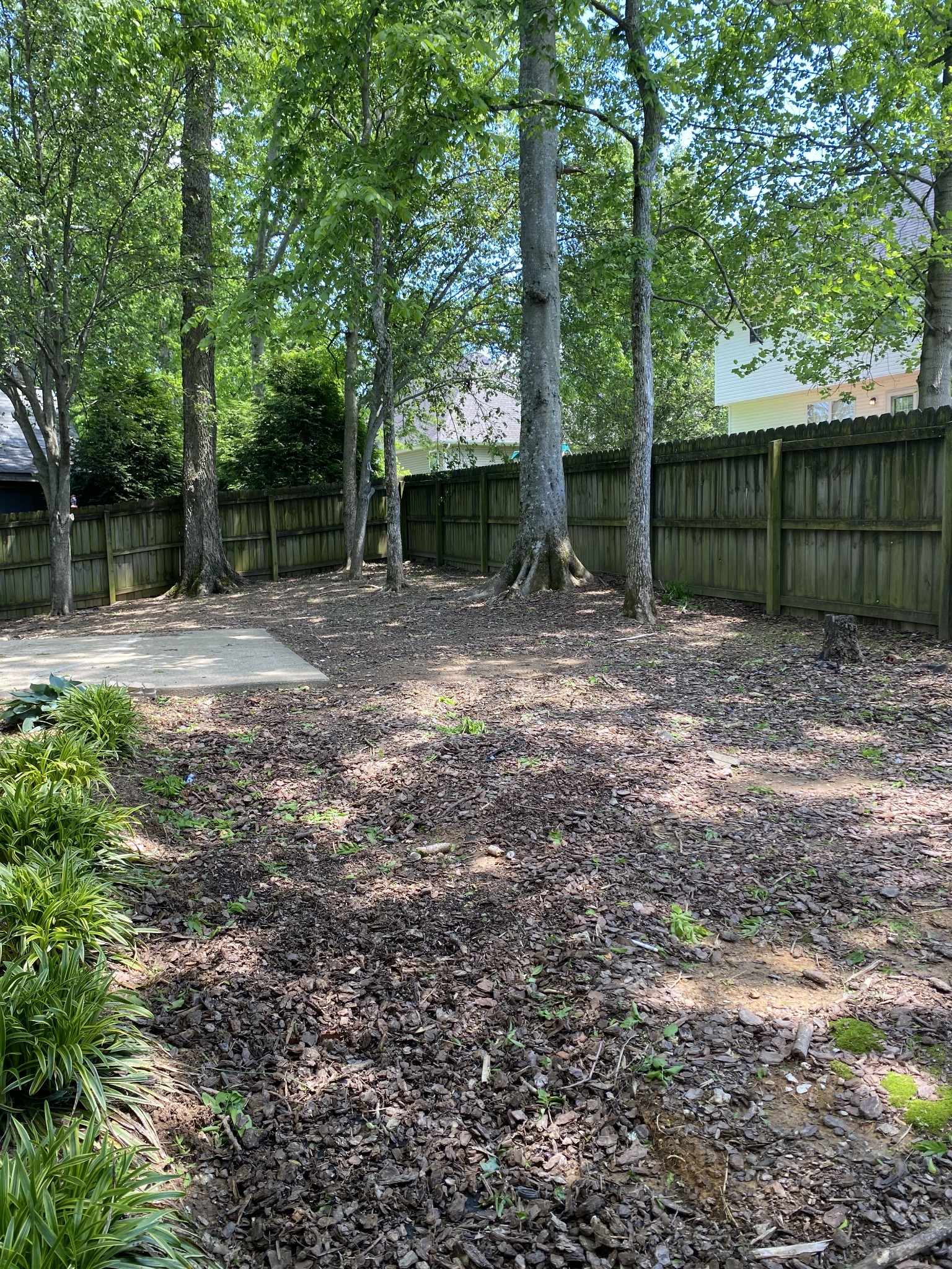 1615 Pacer Court Spring Hill, TN 37174 - Photo 30 of 30 a fire hydrant in the middle of a yard