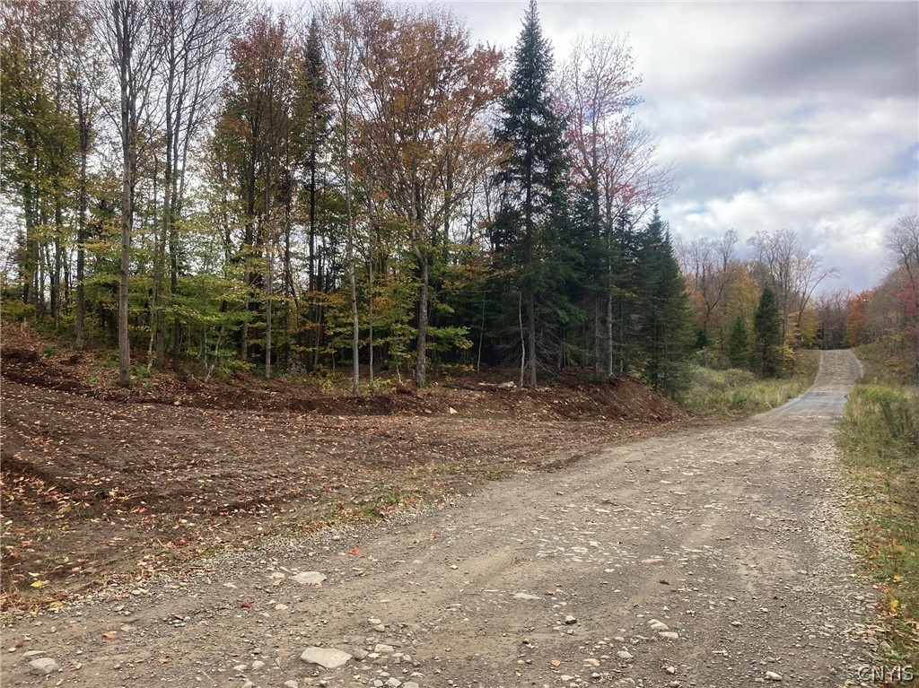 Olin Road Lowville, NY 13367 - Photo 4 of 5 looking down Olin Rd from driveway