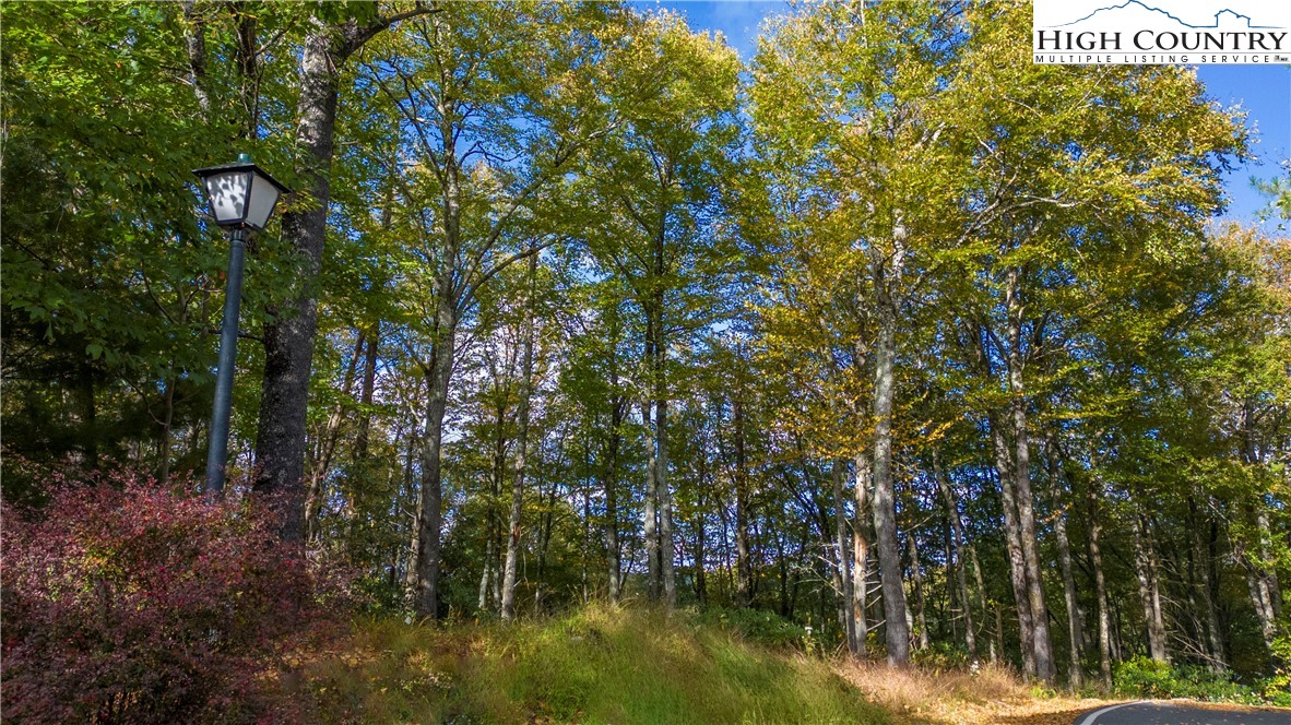 27-28 High Ridge Lane Blowing Rock, NC 28605 - Photo 11 of 17 a view of lake