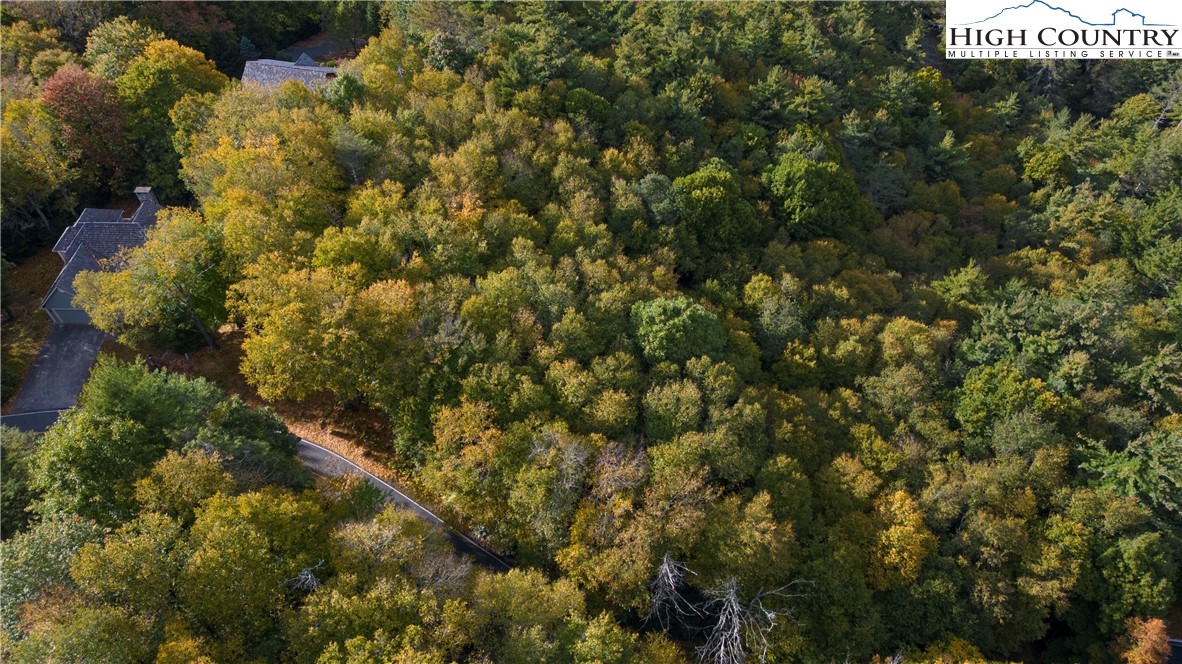 27-28 High Ridge Lane Blowing Rock, NC 28605 - Photo 13 of 17 a view of a house with a tree