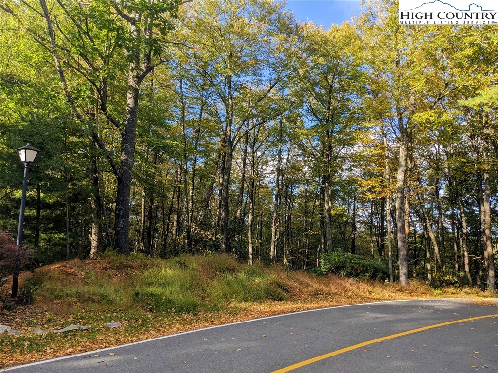 27-28 High Ridge Lane Blowing Rock, NC 28605 - Photo 15 of 17 a view of a yard with large trees