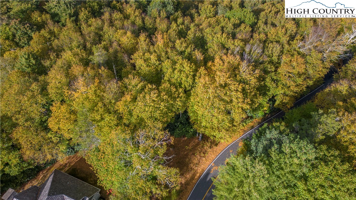 27-28 High Ridge Lane Blowing Rock, NC 28605 - Photo 2 of 17