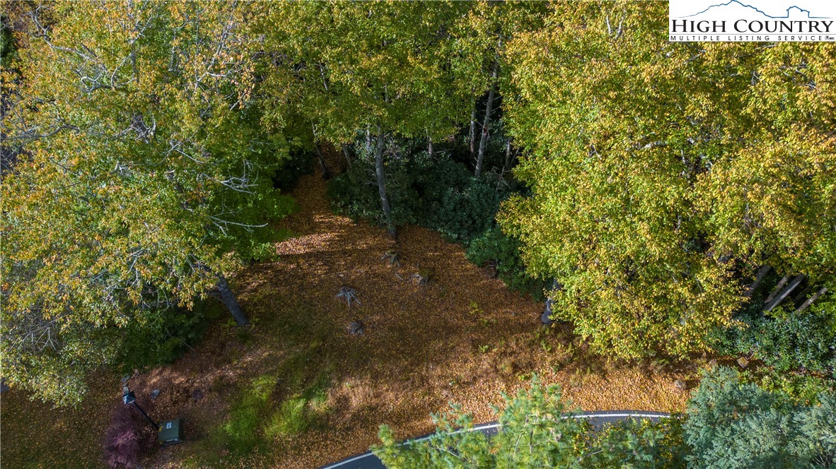 27-28 High Ridge Lane Blowing Rock, NC 28605 - Photo 4 of 17 a view of a yard