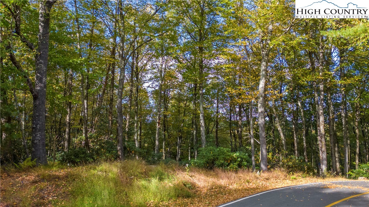 27-28 High Ridge Lane Blowing Rock, NC 28605 - Photo 5 of 17 a view of yard