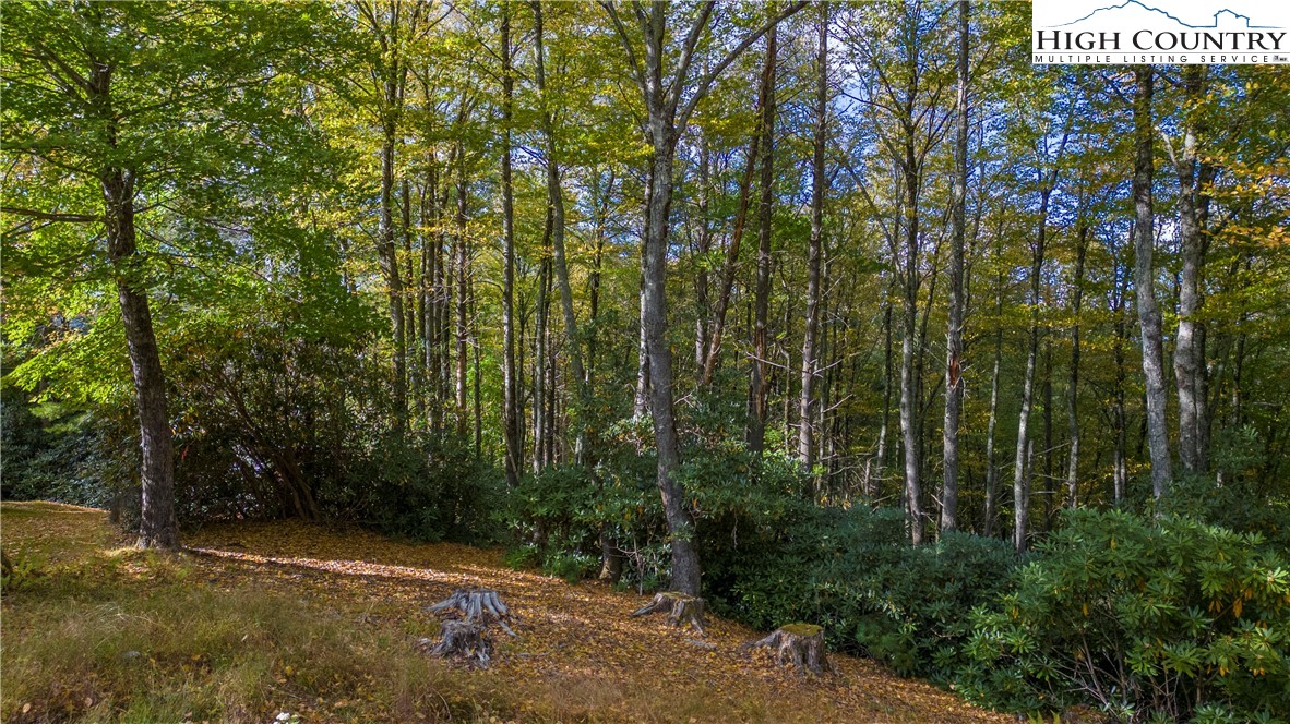27-28 High Ridge Lane Blowing Rock, NC 28605 - Photo 6 of 17 a view of a street with lots of trees