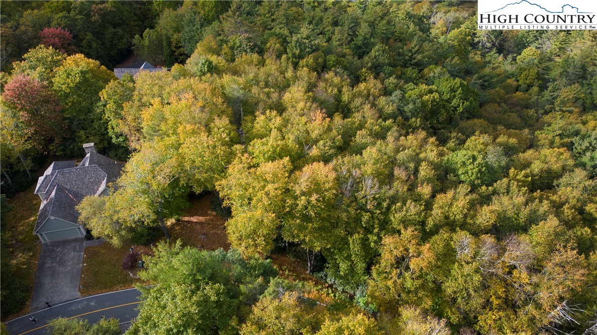 27-28 High Ridge Lane Blowing Rock, NC 28605 - Photo 7 of 17 a view of a house with a tree