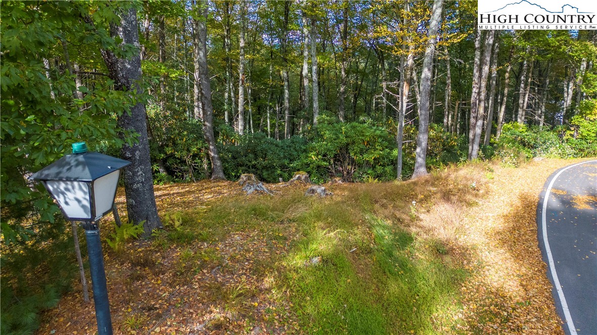 27-28 High Ridge Lane Blowing Rock, NC 28605 - Photo 10 of 17 a view of a yard