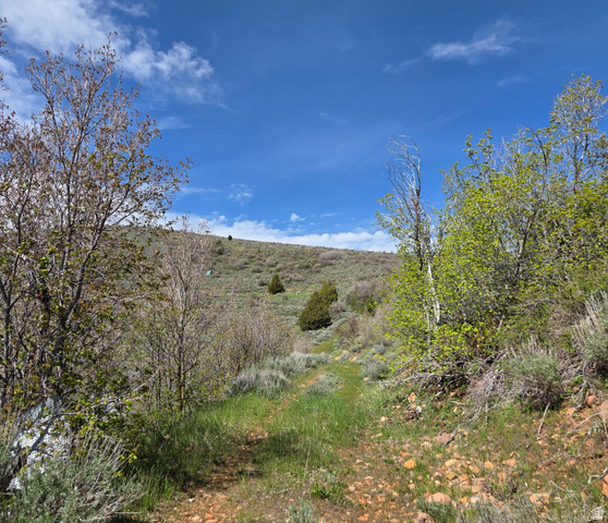 3325 North Oak Cyn Road, Unit 490 Huntsville, UT 84317 - Photo 14 of 25 Expansive hillside property featuring natural vegetation, scattered mature trees, and a clear blue sky with white clouds
