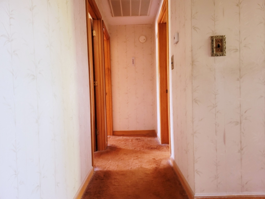 3 Alice Road Randolph, MA 02368 - Photo 17 of 23 Gallery Image 17