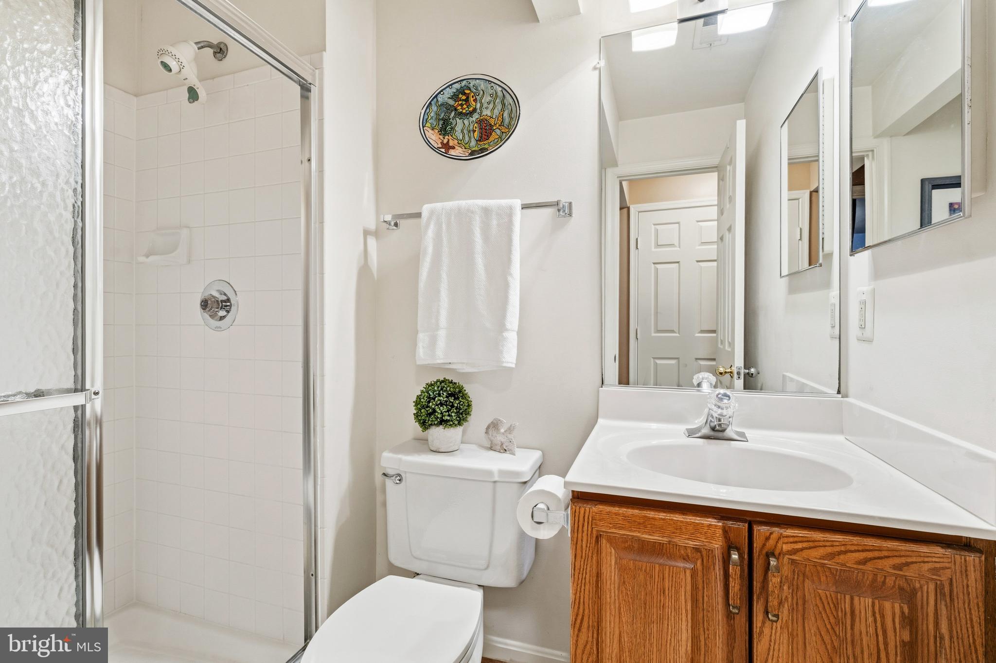 6518 Milva Lane Springfield, VA 22150 - Photo 45 of 55 Full lower-level bath with neutral finishes
