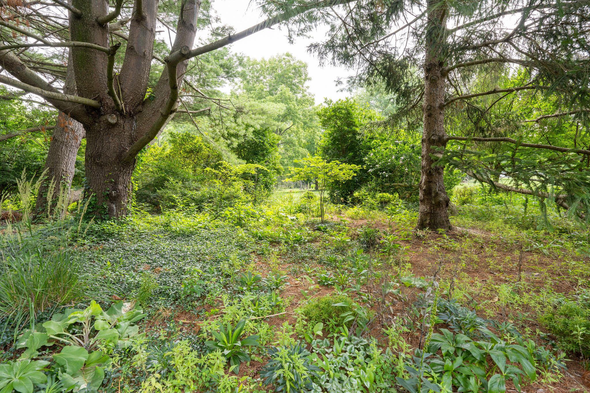 1350 Carriage Road Powell, OH 43065 - Photo 66 of 80 1350CarriageRdGardenAreas-10