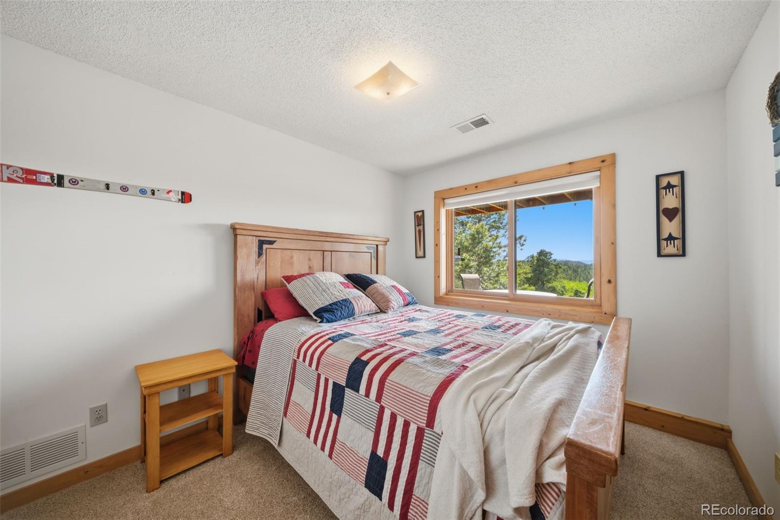 4269 Cedar Mountain Road Divide, CO 80814 - Photo 17 of 37