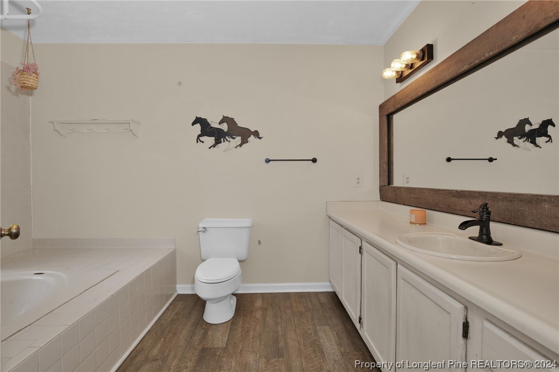 417 Farm Life School Road Carthage, NC 28327 - Photo 18 of 33 a bathroom with a sink a toilet and shower