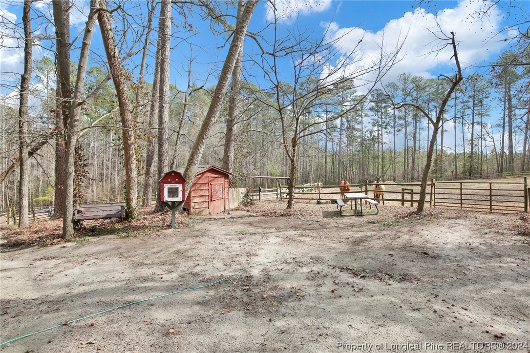 417 Farm Life School Road Carthage, NC 28327 - Photo 26 of 33 a view of a yard with a snow on the road