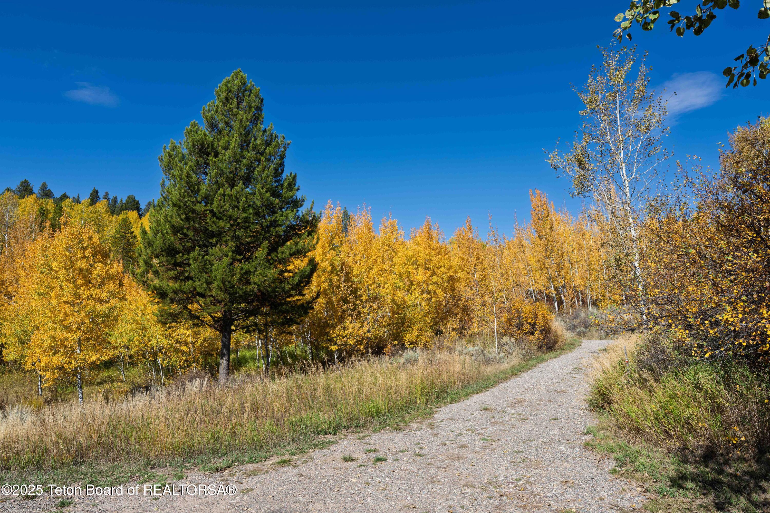 4125 Silver Spur Road Wilson, WY 83014 - Photo 12 of 60 Silver Spur_JGPhoto-9