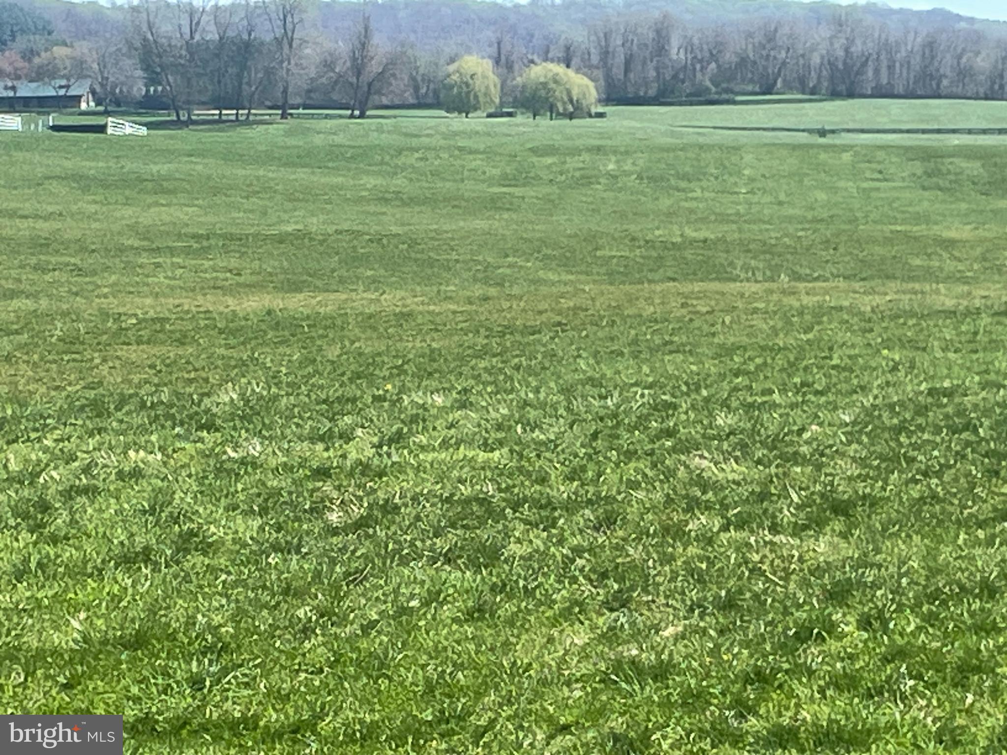 2601 Butler Road Glyndon, MD 21136 - Photo 23 of 83