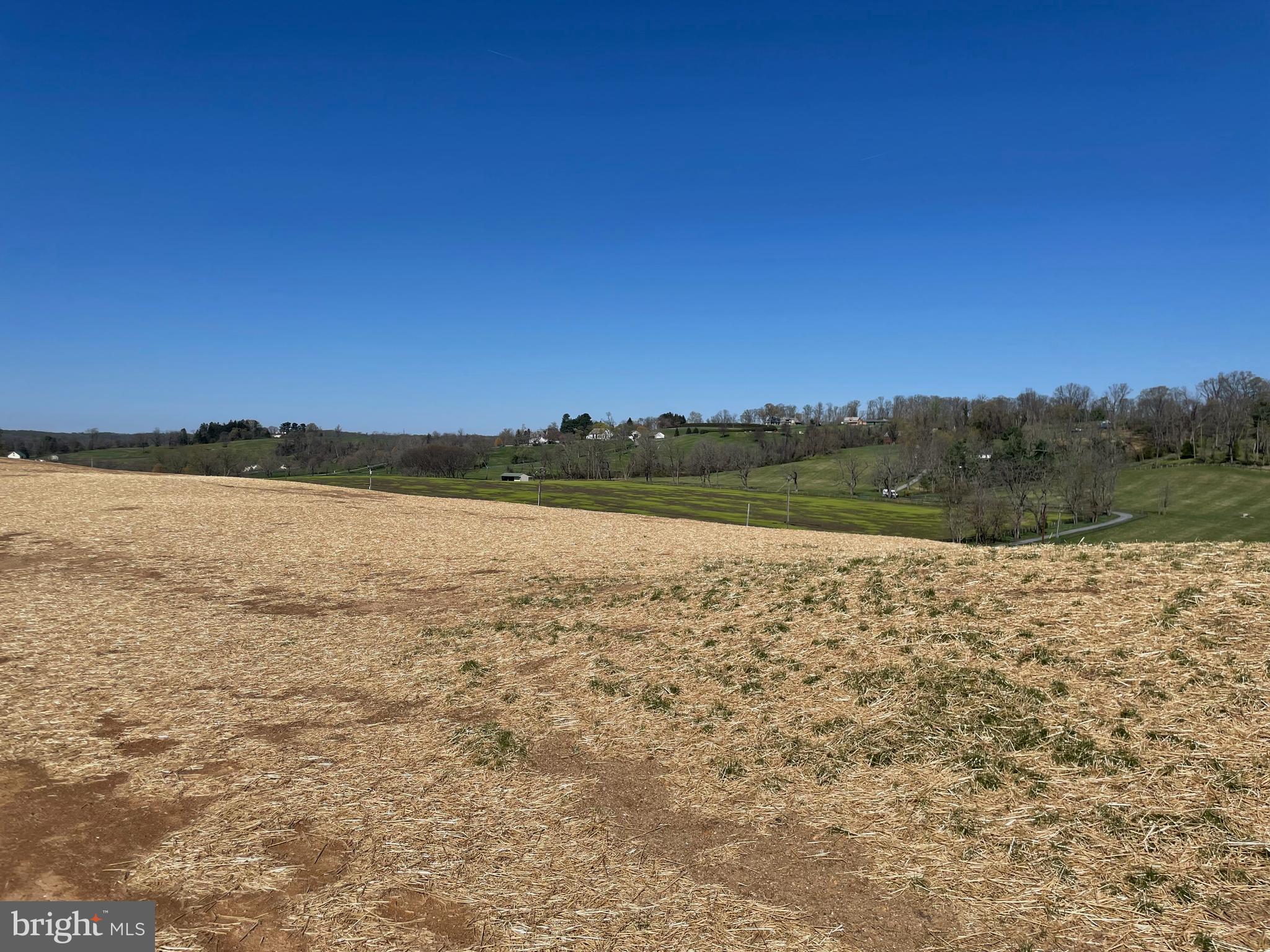 2601 Butler Road Glyndon, MD 21136 - Photo 27 of 83