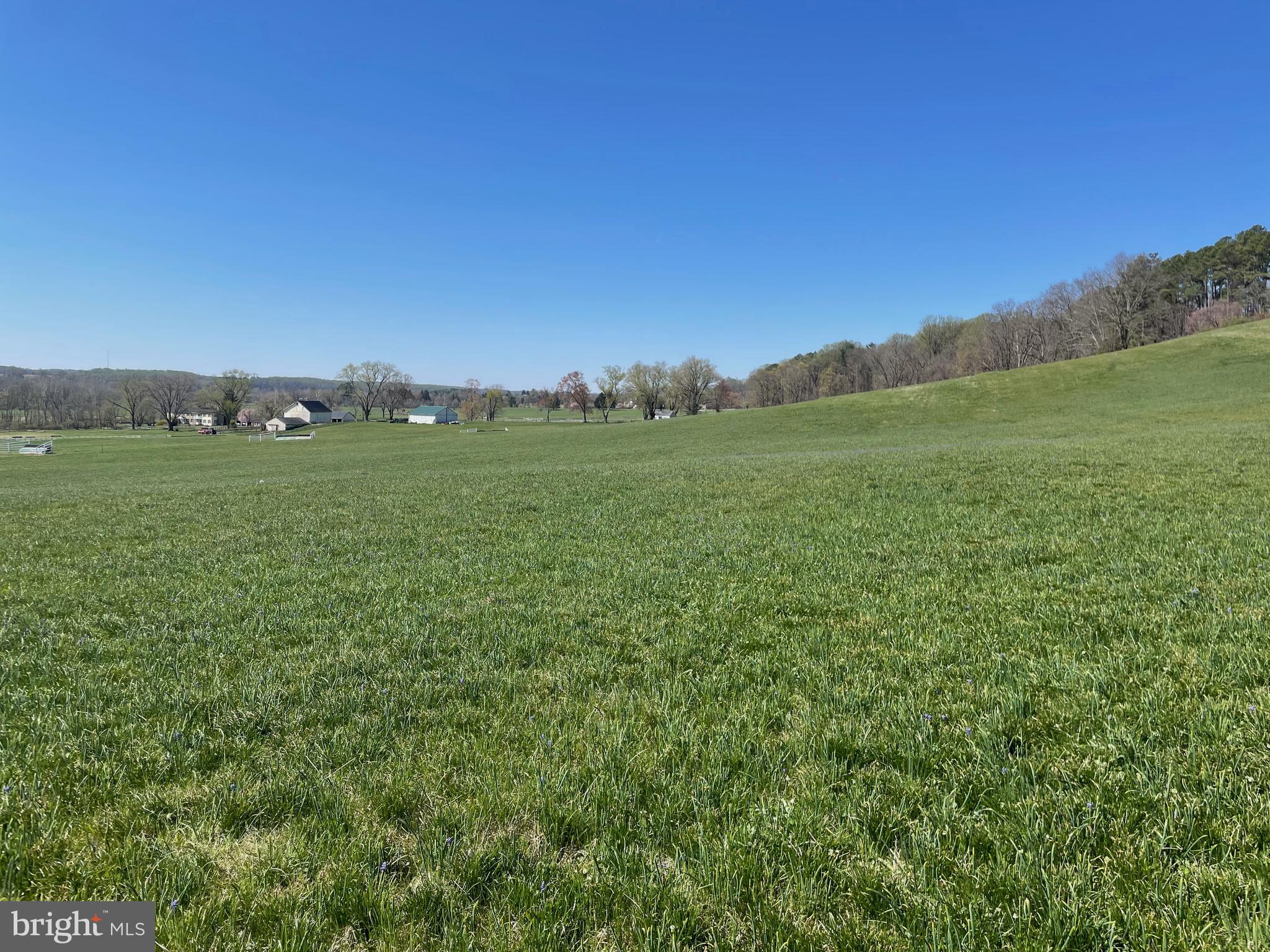 2601 Butler Road Glyndon, MD 21136 - Photo 42 of 83