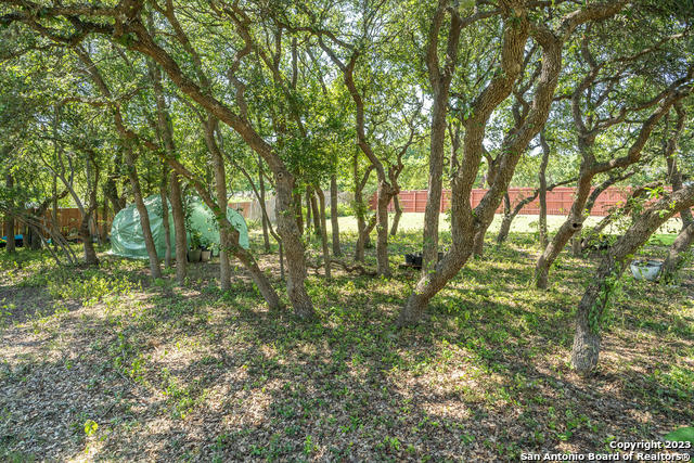9634 Jason Bend Helotes, TX 78023 - Photo 43 of 43 a backyard of a house with lots of trees