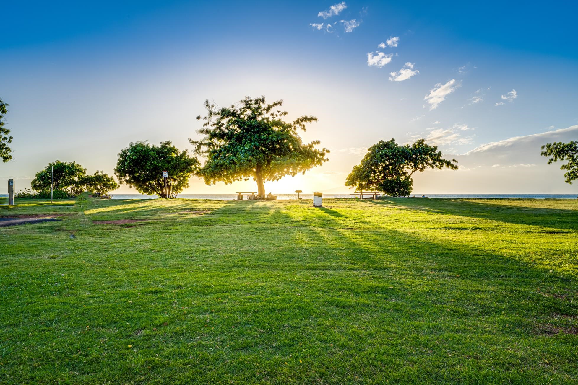 3660 Lower Honoapiilani Road, Unit 403 Lahaina, HI 96761 - Photo 29 of 41