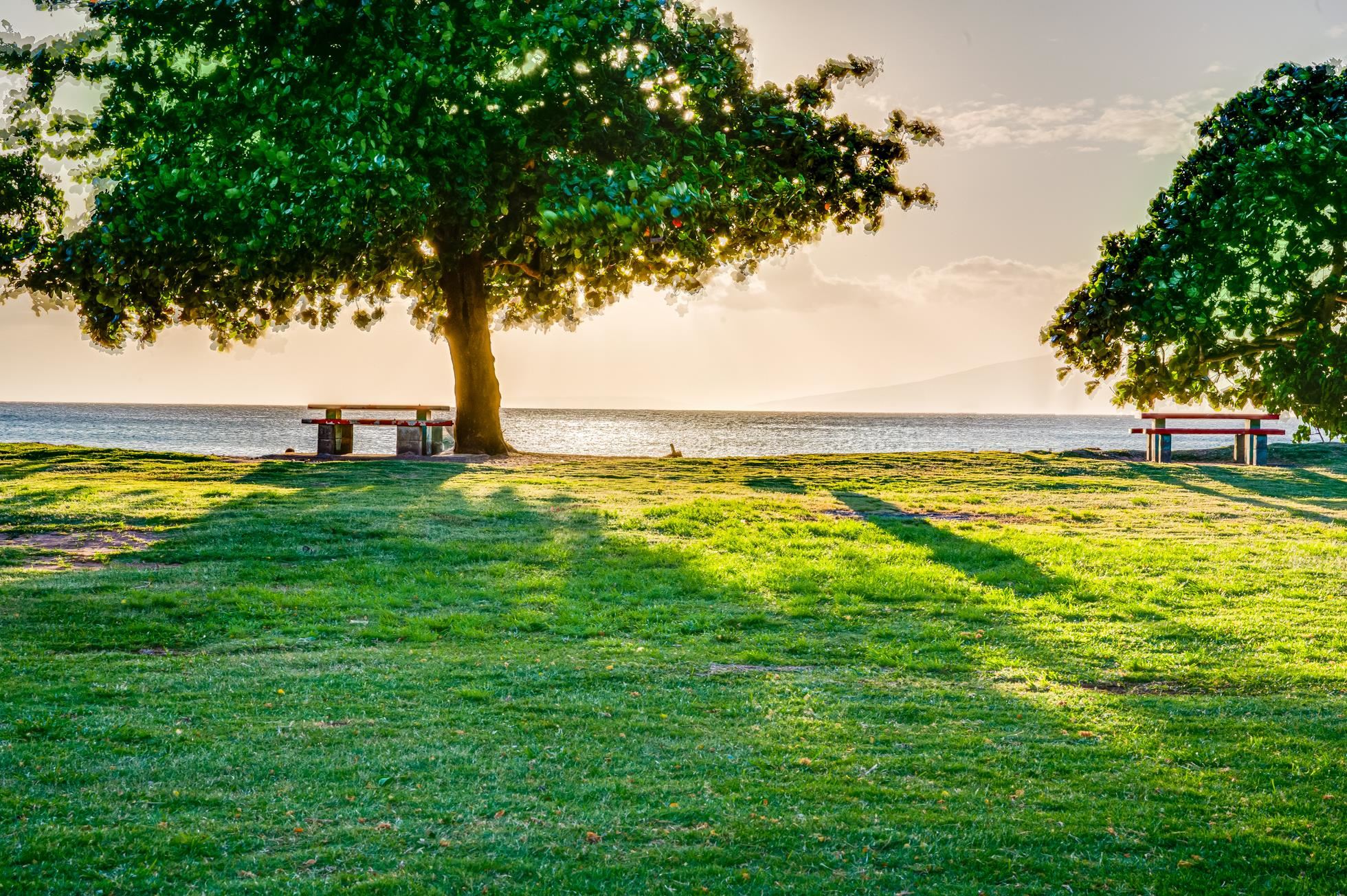 3660 Lower Honoapiilani Road, Unit 403 Lahaina, HI 96761 - Photo 30 of 41