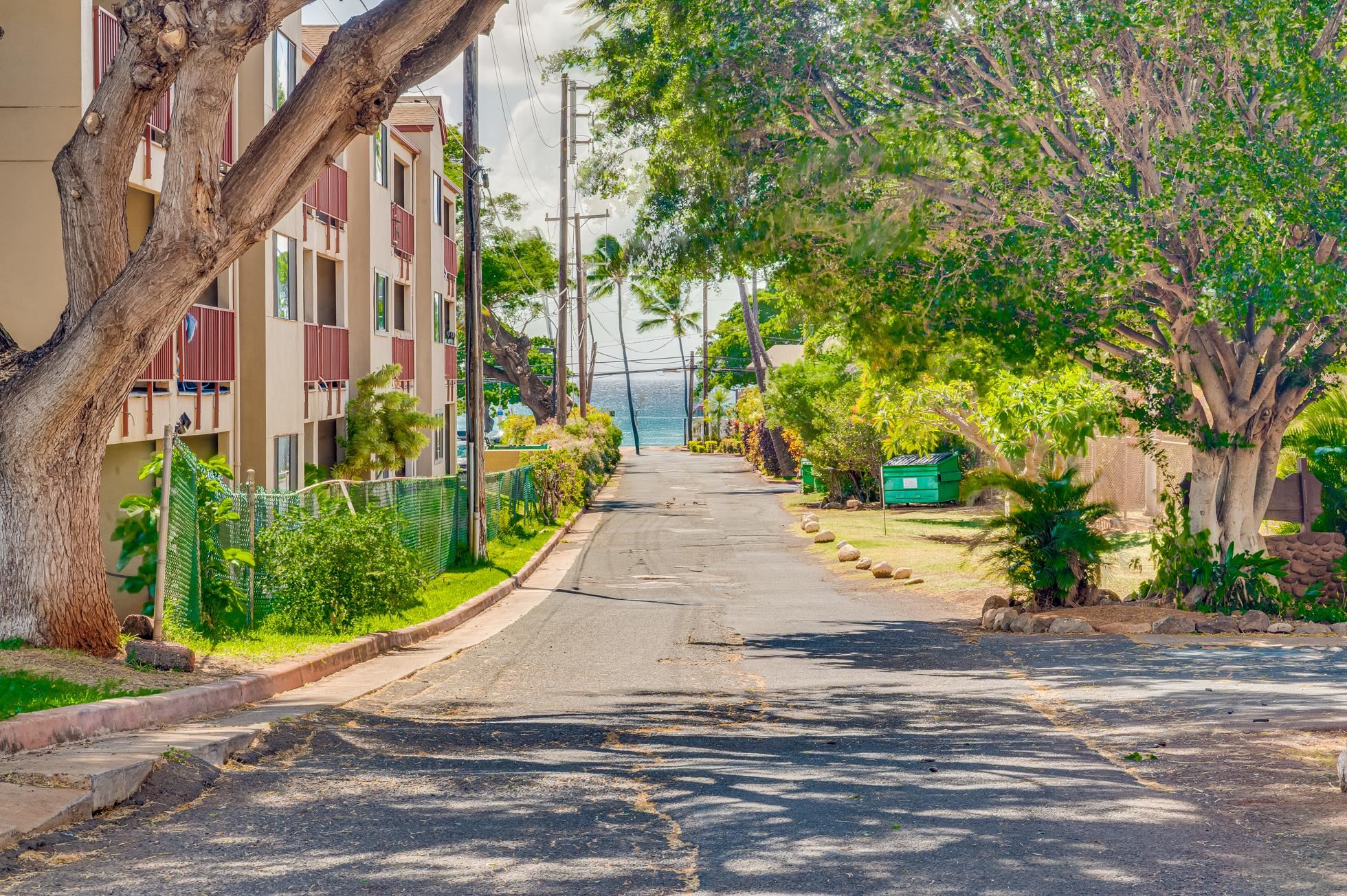 3660 Lower Honoapiilani Road, Unit 403 Lahaina, HI 96761 - Photo 37 of 41