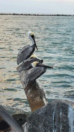 $3,450 | 235 Fordham Drive, Lake Worth Beach, FL 33460