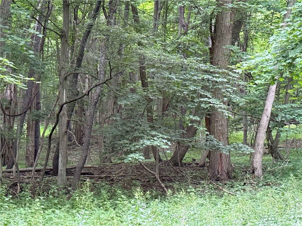 1592 Emerson Road Potter, NY 14507 - Photo 5 of 25