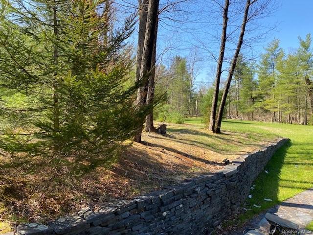 592 Proctor Road Glen Spey, NY 12737 - Photo 2 of 9 a view of a yard with plants and trees