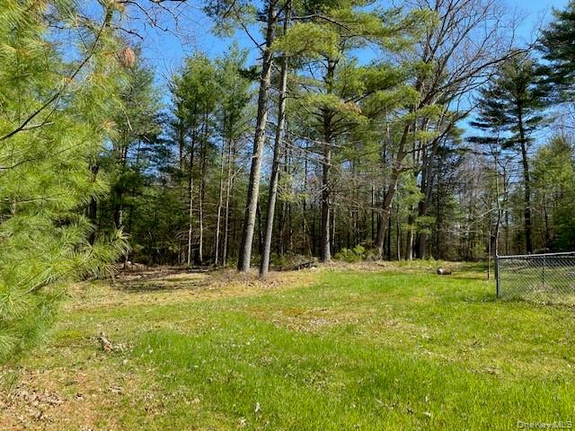 592 Proctor Road Glen Spey, NY 12737 - Photo 4 of 9 a backyard of a house with lots of green space