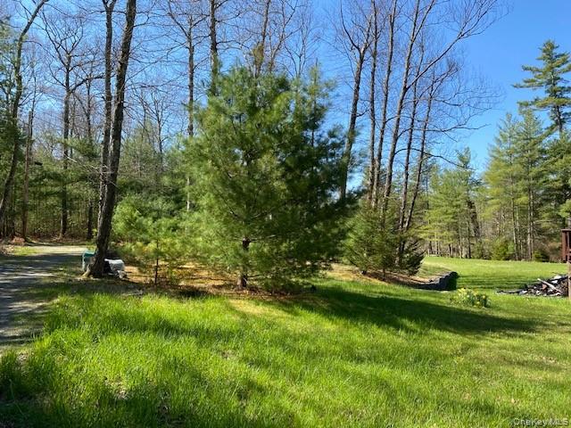 592 Proctor Road Glen Spey, NY 12737 - Photo 6 of 9 a view of an outdoor space and a yard