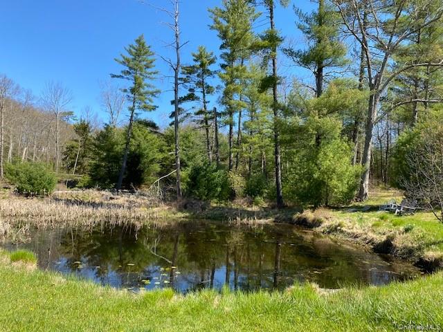 592 Proctor Road Glen Spey, NY 12737 - Photo 7 of 9 a view of lake