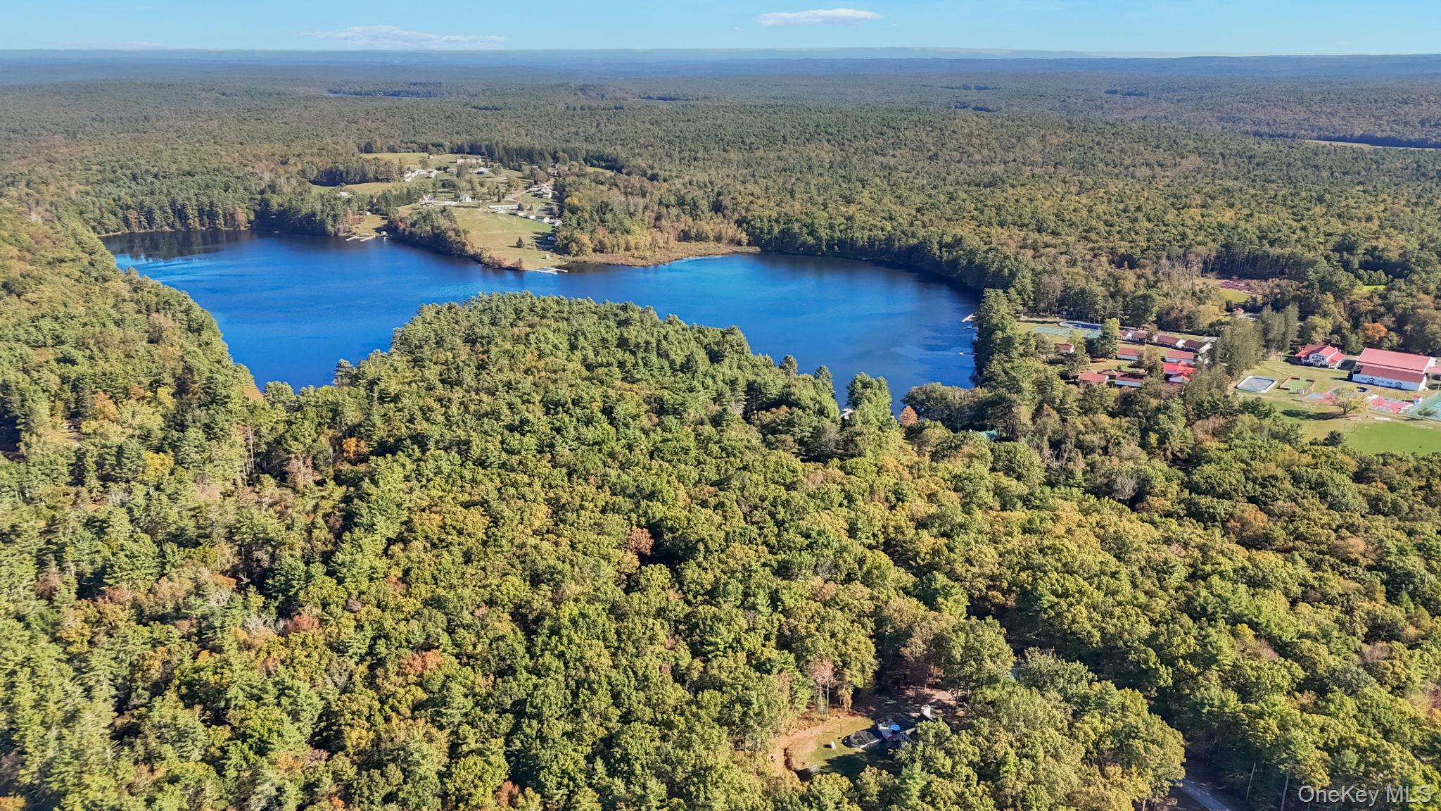 592 Proctor Road Glen Spey, NY 12737 - Photo 8 of 9 a view of a room with an ocean and mountain view