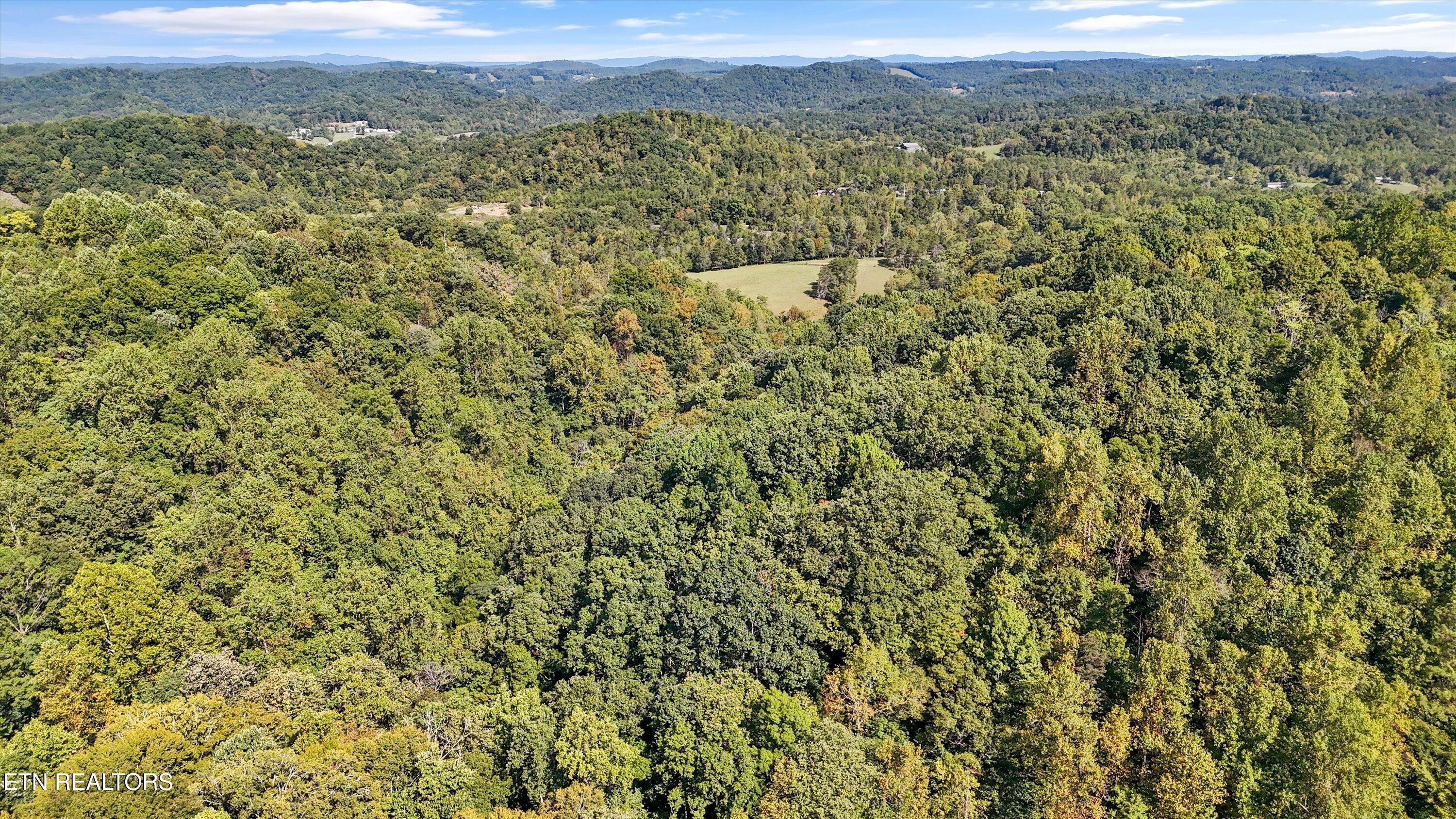 9024 Welch Road Knoxville, TN 37938 - Photo 5 of 11 05-9024 Welch Rd-07