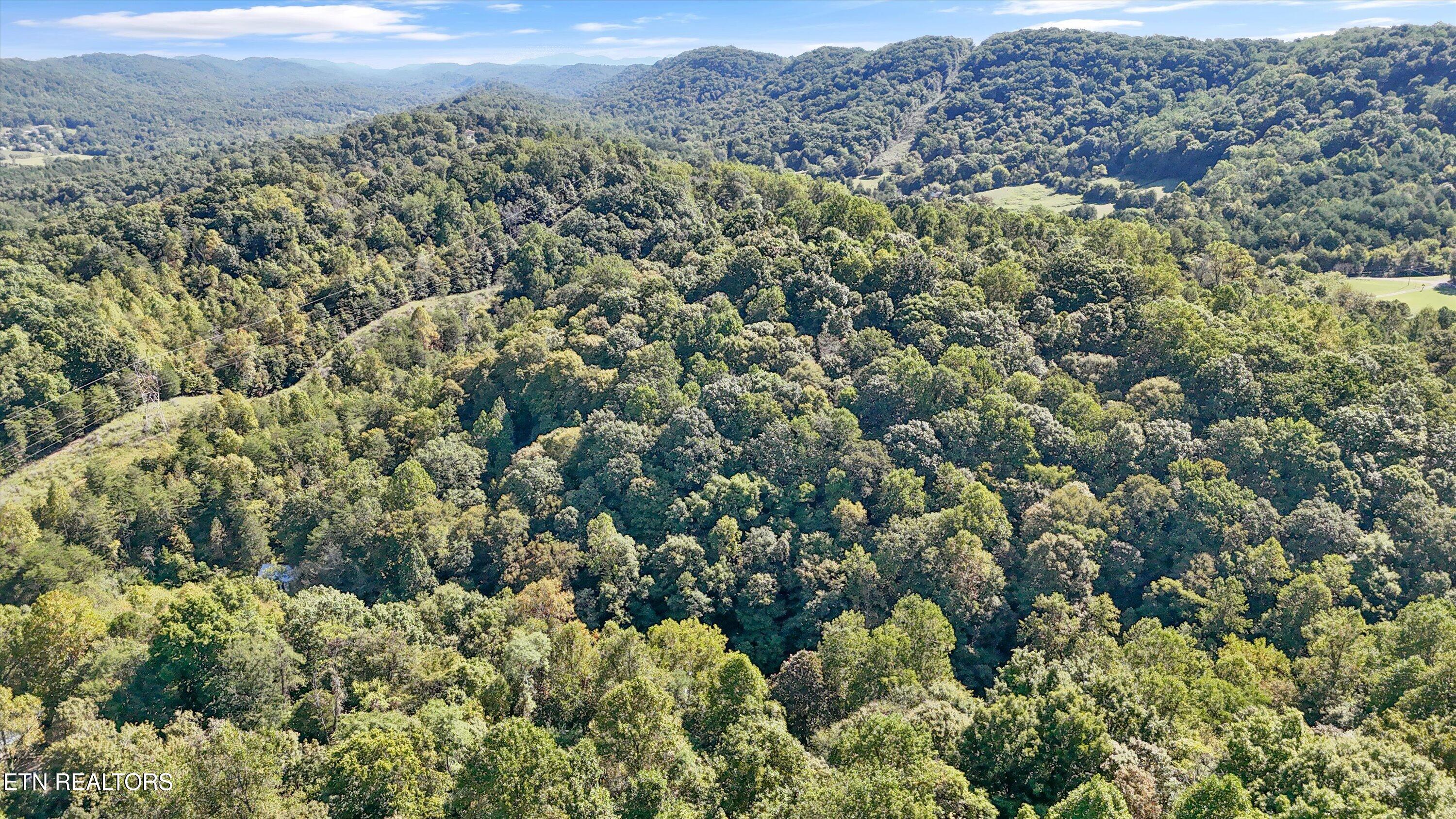 9024 Welch Road Knoxville, TN 37938 - Photo 6 of 11 06-9024 Welch Rd-08