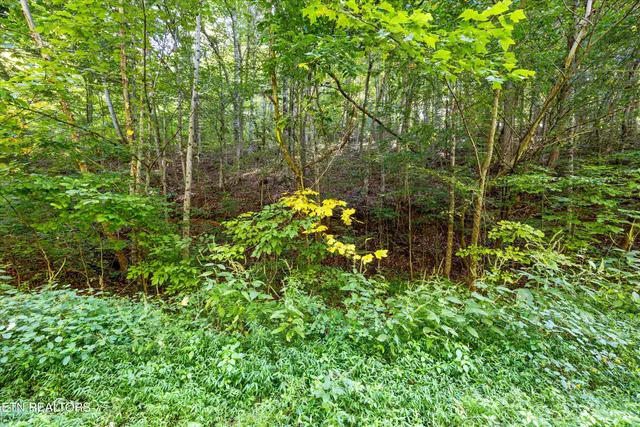 $175,000 | 9024 Welch Road, Knoxville, TN 37938