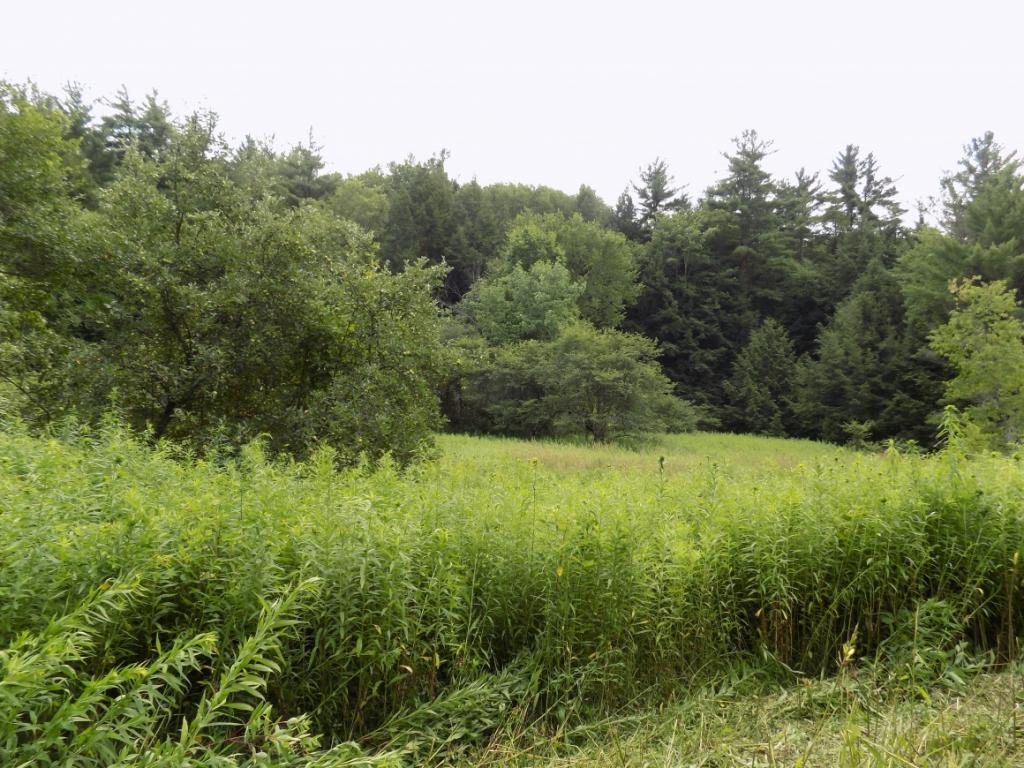 30 Page Brook Road Whitney Point, NY 13862 - Photo 5 of 23