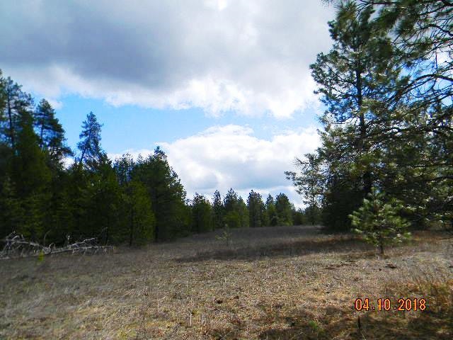 Xoxo Conklin Meadows Road Newport, WA 99156 - Photo 14 of 20 Gallery Image 14