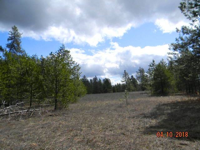 Xoxo Conklin Meadows Road Newport, WA 99156 - Photo 17 of 20 Gallery Image 17