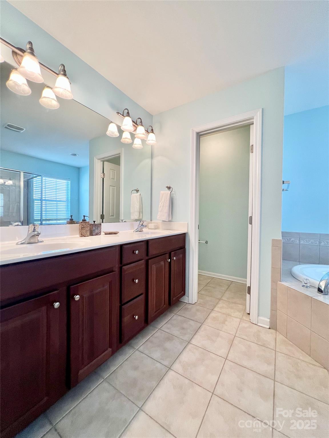 8326 Viewpoint Lane, Unit 802 Cornelius, NC 28031 - Photo 27 of 43 a spacious bathroom with a vanity a sink a mirror and a bathtub