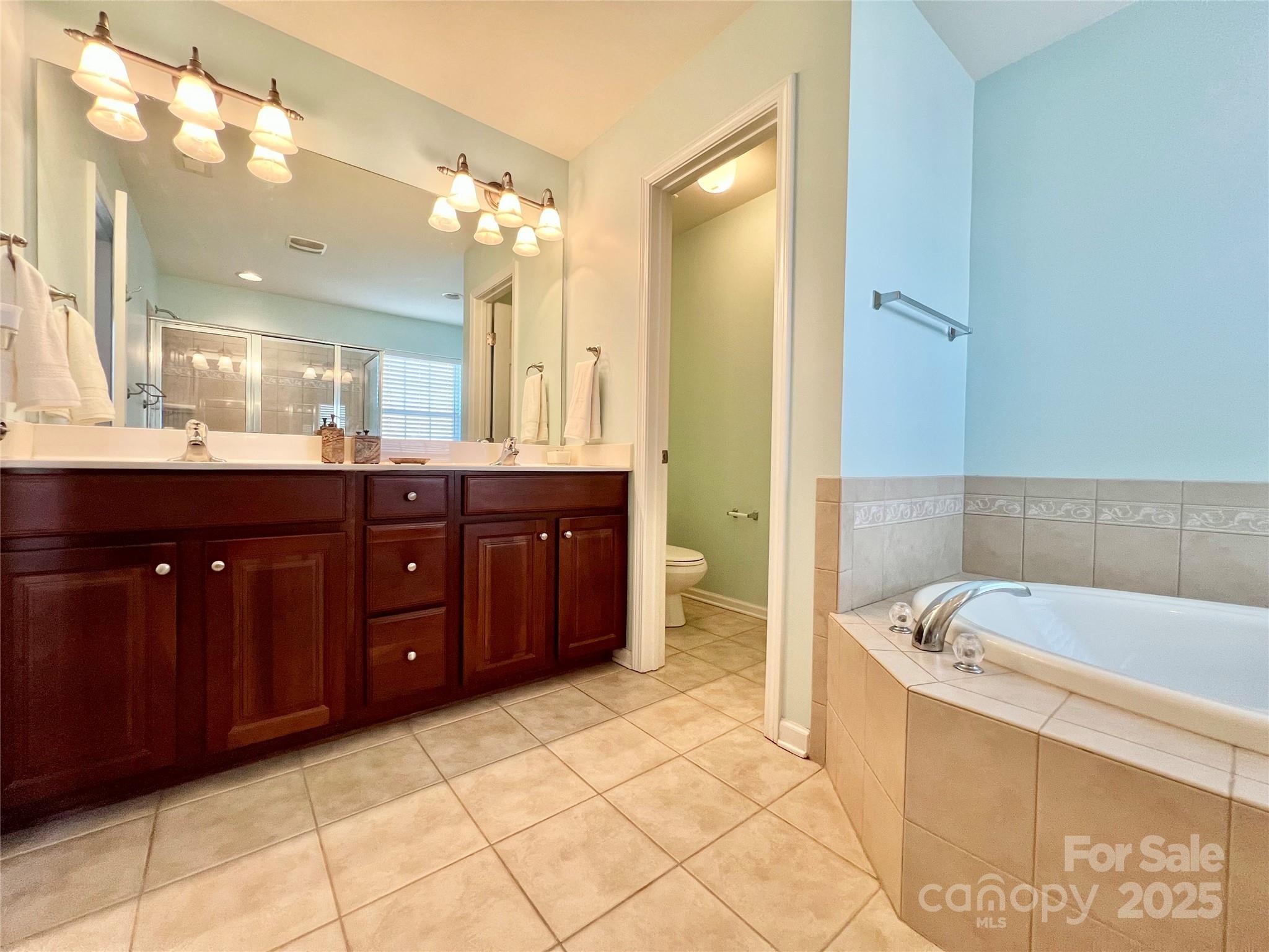 8326 Viewpoint Lane, Unit 802 Cornelius, NC 28031 - Photo 28 of 43 a spacious bathroom with a bathtub sink and mirror