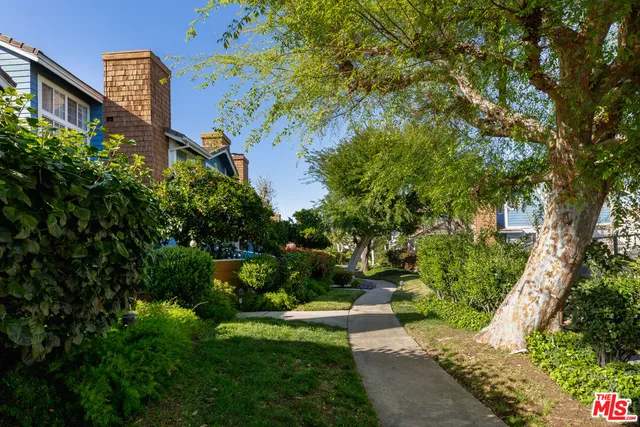 a view of a yard with plants and large trees