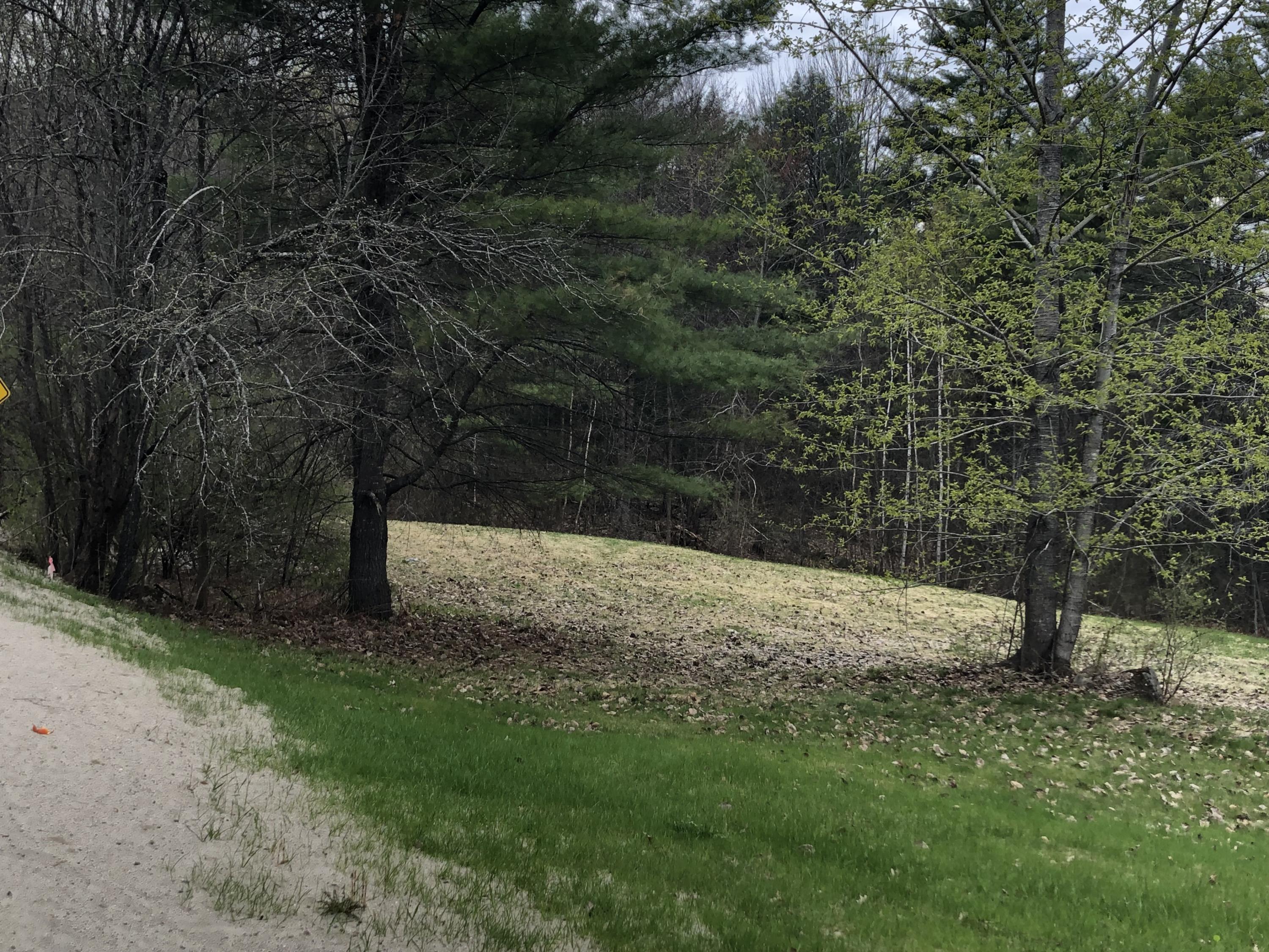 95 Lane Road Mechanic Falls, ME 04256 - Photo 11 of 12 Proposed driveway location