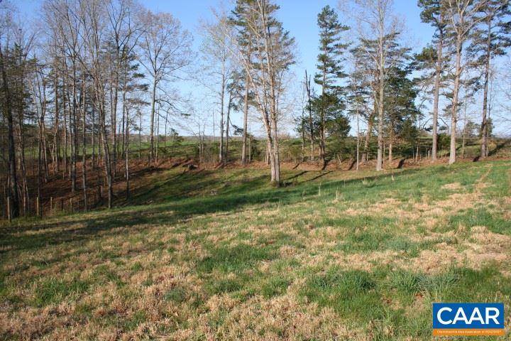 1910 Jacks Shop Road Rochelle, VA 22738 - Photo 10 of 16 a view of a park