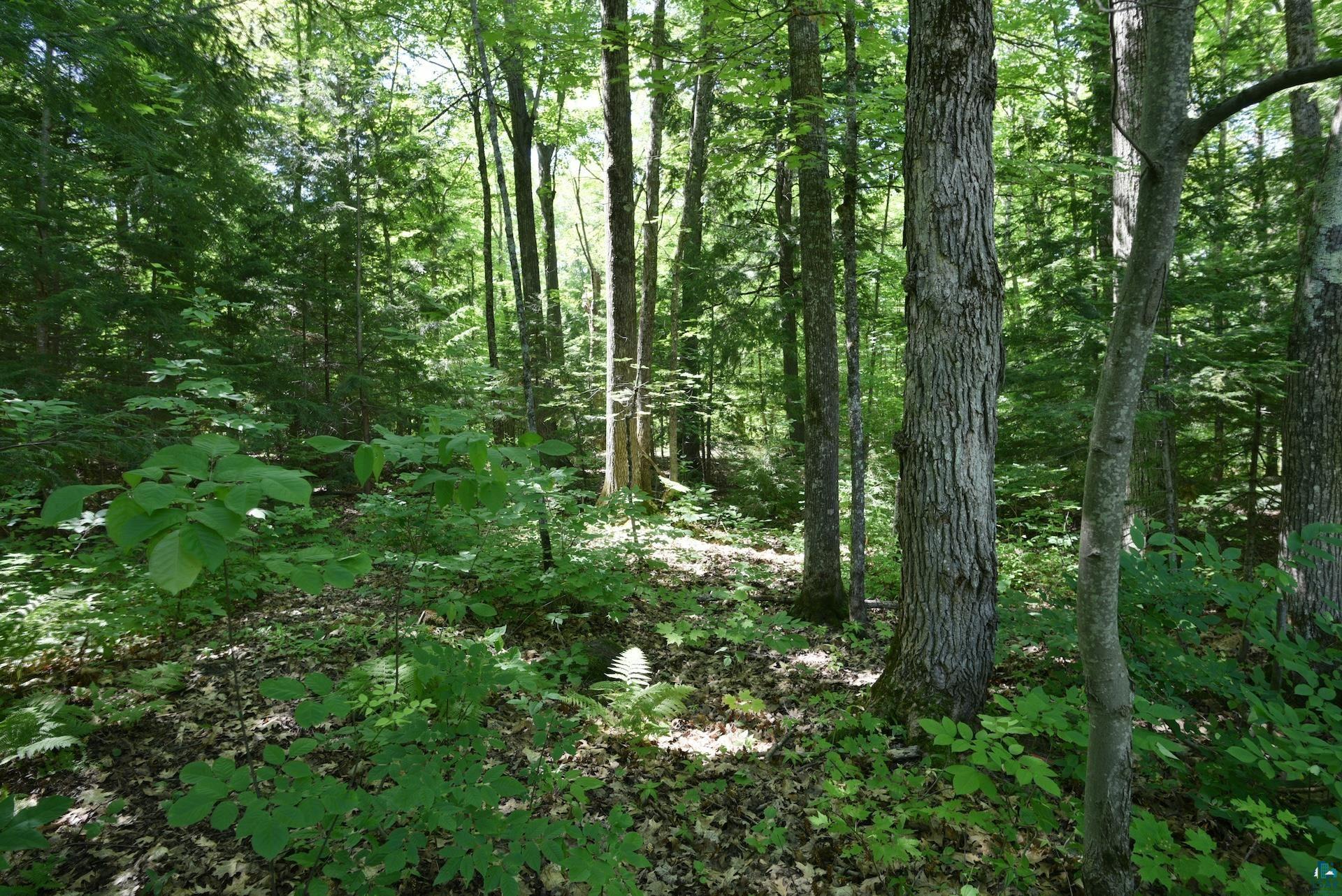 77545 West Maple Hill Road Washburn, WI 54891 - Photo 24 of 31