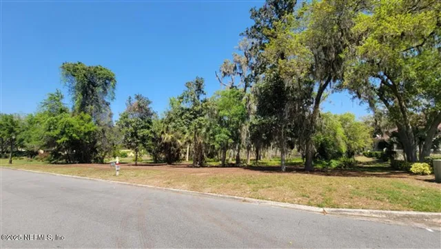 a view of backyard with green space