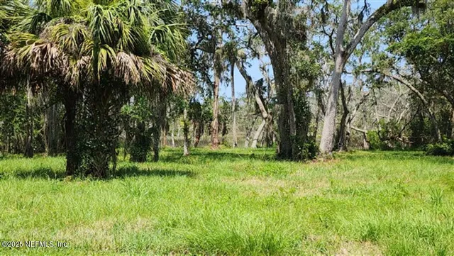 a view of a field with a tree